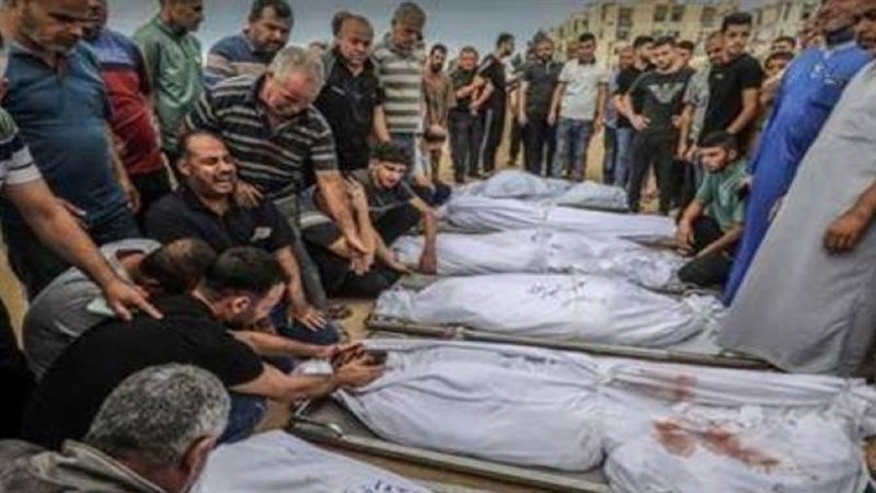 بوابة روز اليوسف