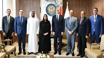 تعزيز التعاون المشترك بين مصر والإمارات بمجالات البترول والطاقة