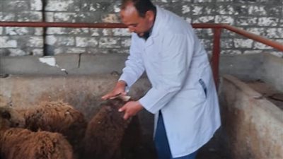 علاج أكثر من 28 ألف رأس ماشية وتحصين 23458 طائرًا ضد إنفلونزا الطيور