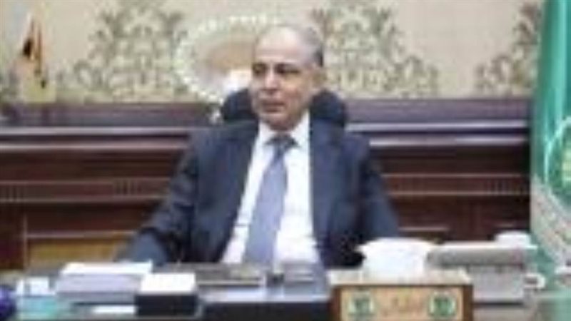 محافظ المنيا