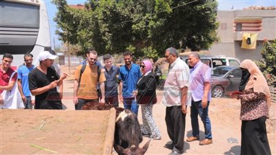 جامعة كفر الشيخ تطلق قافلة بيطرية لقرية أبو تمادة ضمن 