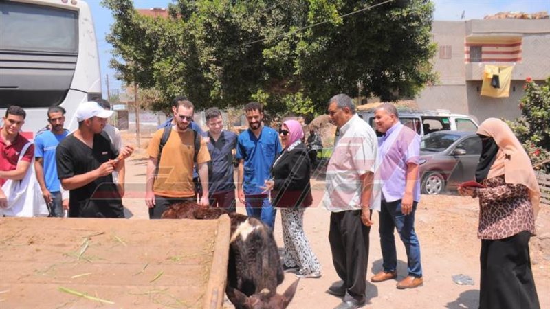 القافلة البيطرية