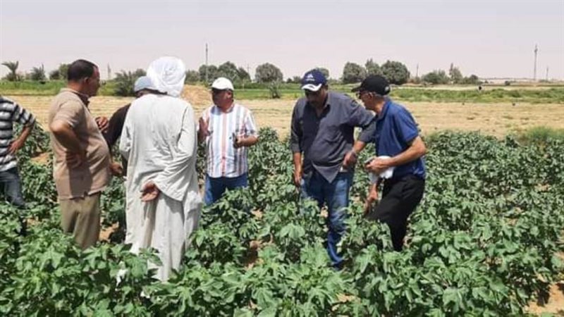 ندوة ارشاديه لمزارعي