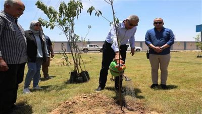 محافظ أسوان يزرع مجموعة من أشجار الظل والمثمرة بكوم أمبو لزيادة المسطحات الخضراء 