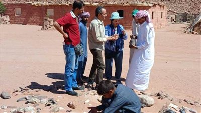 قصور الثقافة تُنظم زيارة ميدانية لمنطقة آثار 