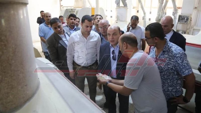 محافظ كفرالشيخ يتفقد