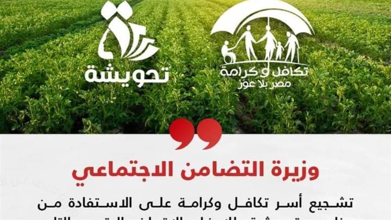 وزارة التضامن