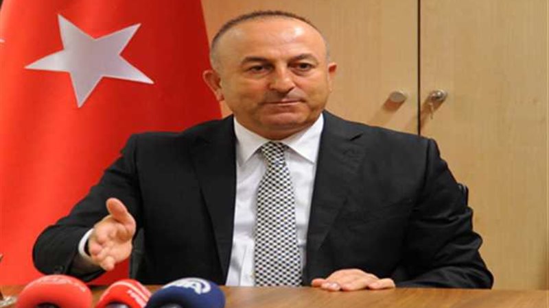 تعليق وزير الخارجية