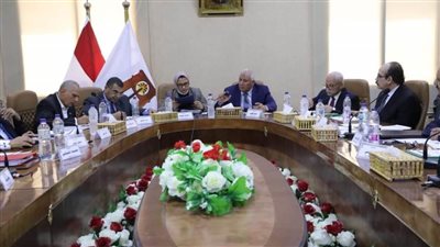 سحب الأراضي غير المستغلة من الشركات الاستثمارية بالوادي الجديد 