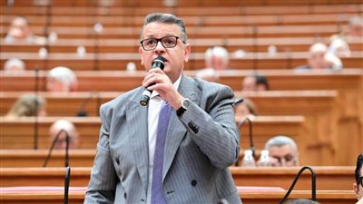 طارق رضوان: ما شهدته الدولة المصرية في مجال حقوق الإنسان نقلة كبيرة