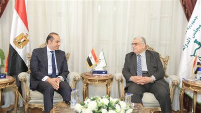 رئيس مجلس الدولة يستقبل وزير الشؤون النيابية والقانونية