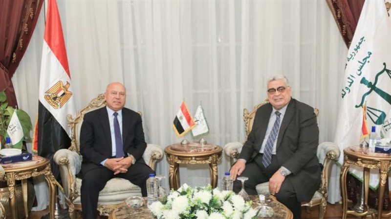 مجلس الدولة