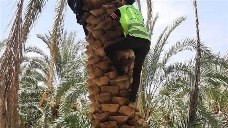 جانب من اعمال مكافحة