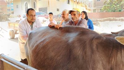  بالصور.. علاج 1645 طائرًا وماشية في قافلة بيطرية بمركز كفرالزيات بالغربية