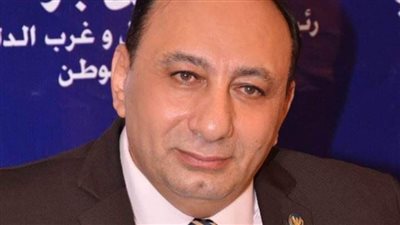 قيادي «بحماة الوطن»: 23 يوليو حجر الأساس لبناء الدولة الحديثة وتحرير الإرادة الوطنية