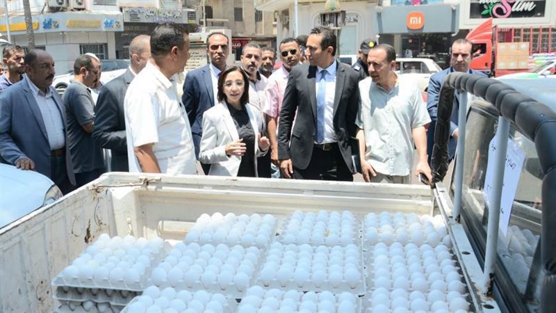 محافظ البحيرة تتابع