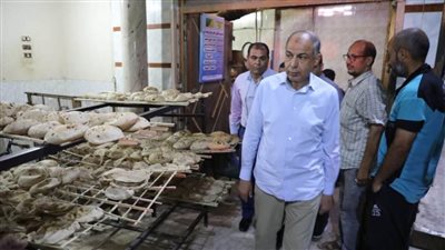 محافظ المنيا يقود حملة مفاجئة فجرًا على المخابز