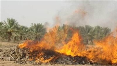 وصلت لـ50 ألف جنيه توقيع غرامات علي 25 مزارعًا حرقوا مخلفات زراعية بالوادى الجديد