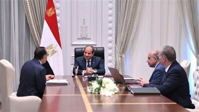 الرئيس السيسي يوجه بتعزيز التعاون بين مختلف الوزارات وجهات الدولة لضمان انتظام الخدمة الكهربائية