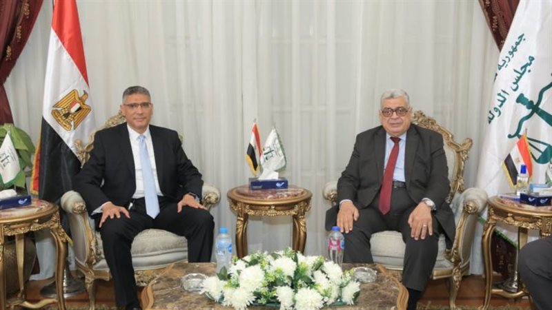 مجلس الدولة