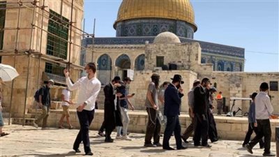 مستوطنون يقتحمون الأقصى والاحتلال يعتقل 24 فلسطينيا وسط وجنوب الضفة الغربية