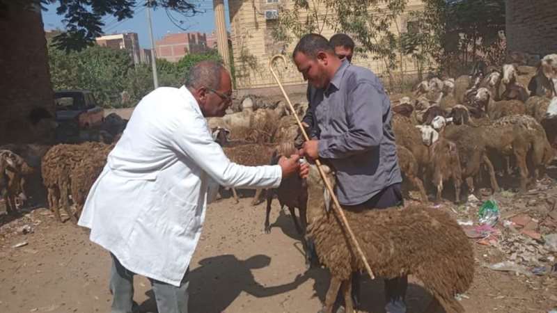 جانب من القافلة