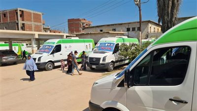 بالصور| الكشف على 1306 مواطنين بقافلة طبية مجانية بقرية الوفائية