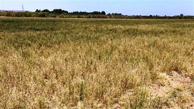 محافظ أسوان يوجه بسرعة التعامل مع شكوى المزارعين بمشروع وادي النقرة 