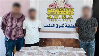 ضبط مخدرات بقيمة 3 ملايين جنيه بحوزة ثلاثة عناصر إجرامية بالدقهلية