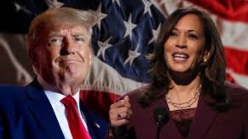 هاريس وترامب