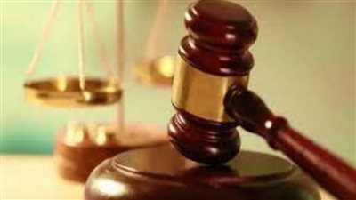 الجنايات تحيل أوراق 