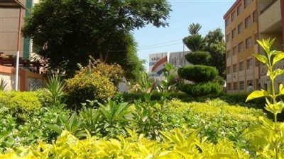 ما هي شهادة 