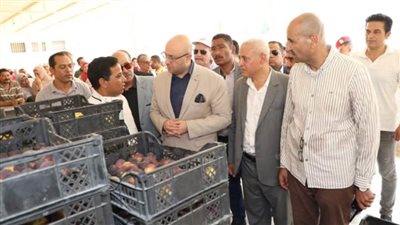 محافظ بني سويف يتفقد منفذ بيع منتجات الصوب الزراعية