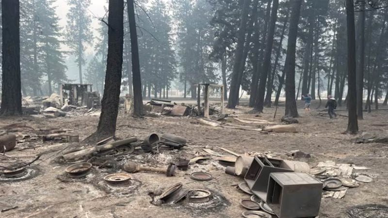 حرائق الغابات تشعل