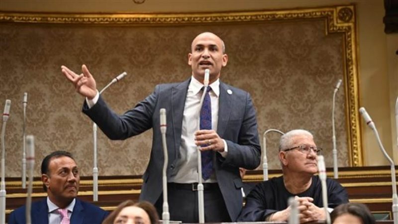 النائب حسام أبو زيد