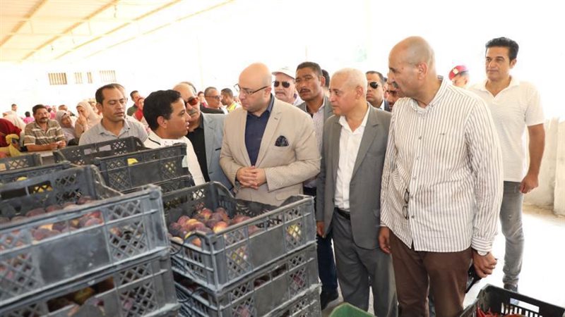 محافظ بنى سويف يتفقد