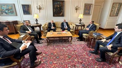 وزير الخارجية: أمن واستقرار ووحدة ليبيا جزء لا يتجزأ من الأمن القومي المصري