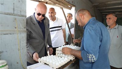 محافظ بني سويف يتفقد منظومة العمل بمشروعات الدواجن المركزية