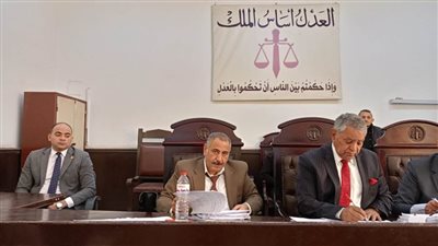إحالة أوراق قاتل الطفل حمزة إلى مفتى الجمهورية