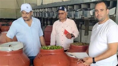 ضبط 9 أطنان زيتون ومواد غذائية مجهولة المصدر قبل بيعها بالسوق السوداء