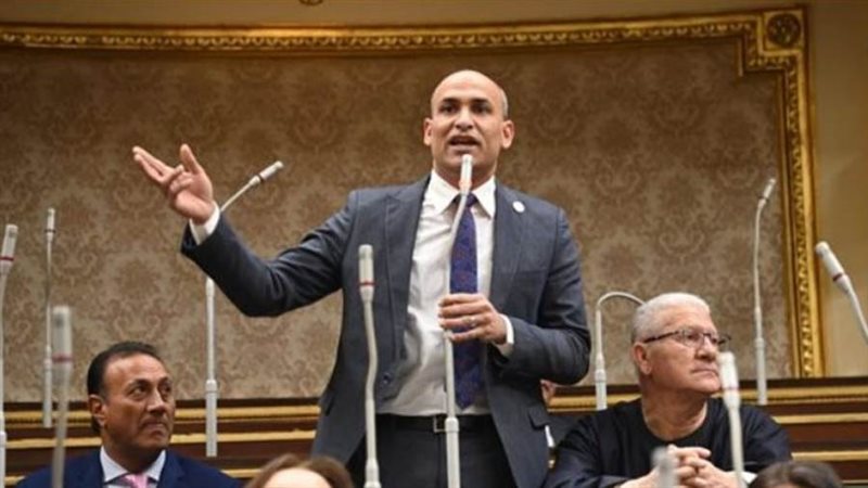 النائب حسام أبو زيد