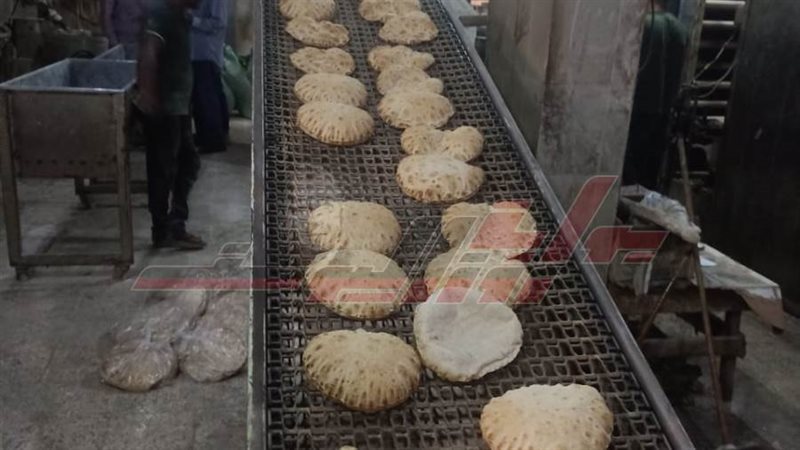 مخابز كفرالشيخ