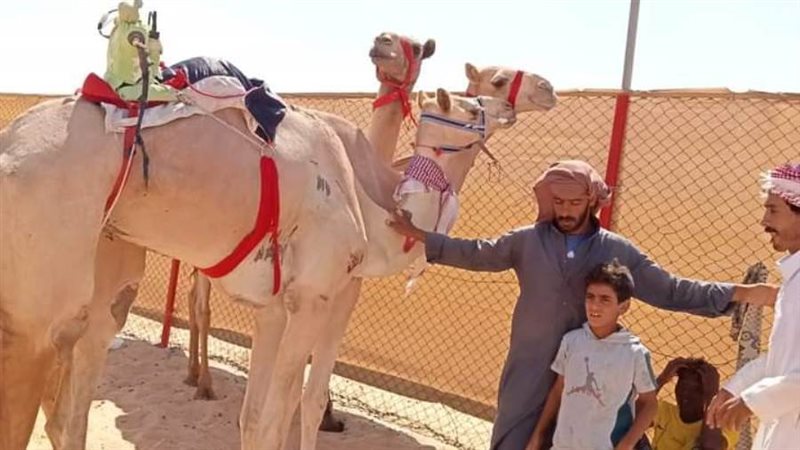 فوز نادي الهجن والفروسية