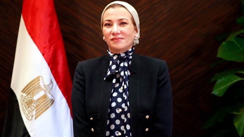 الدكتورة ياسمين فؤاد