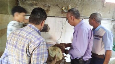 محافظ الغربية : حملة تفتيشية مكبرة على المخابز البلدية بزفتى تسفر عن تحرير 38محضرا .. صور