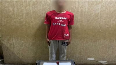 أجهزة الأمن تكشف تفاصيل تداول فيديو لدلوف شخص لشقة سيدة حاملا سلاحًا أبيض