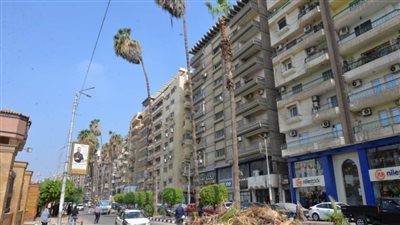 قطع شجرتين بشارع الجمهورية بالدقهلية للخطورة الداهمة 