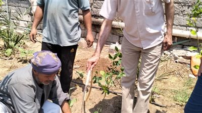زراعة 300 شتلة من الأشجار المثمرة بقرية طيبة بالدلنجات للحد من مخاطر الاحتباس الحرارى وزيادة رقعة المساحات الخضراء