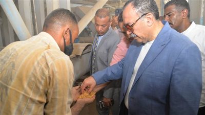 محافظ أسيوط: ارتفاع معدلات توريد القمح لـ197 ألف طن للشون والصوامع