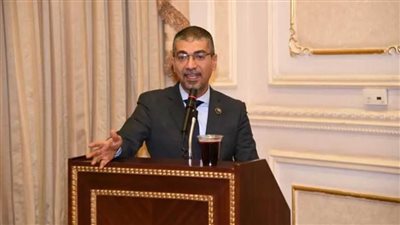 برلماني: العلمين الجديدة دليل واضح وبرهان دامغ على التزام الدولة المصرية بتحقيق التنمية وتعزيز مصادر الدخل